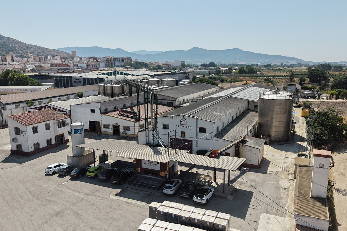 Bodega Las Virtues: la cooperativa que une a Villena a través del vino
