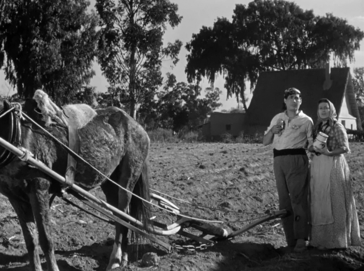 La Barraca: del exilio español a la historia del cine mexicano