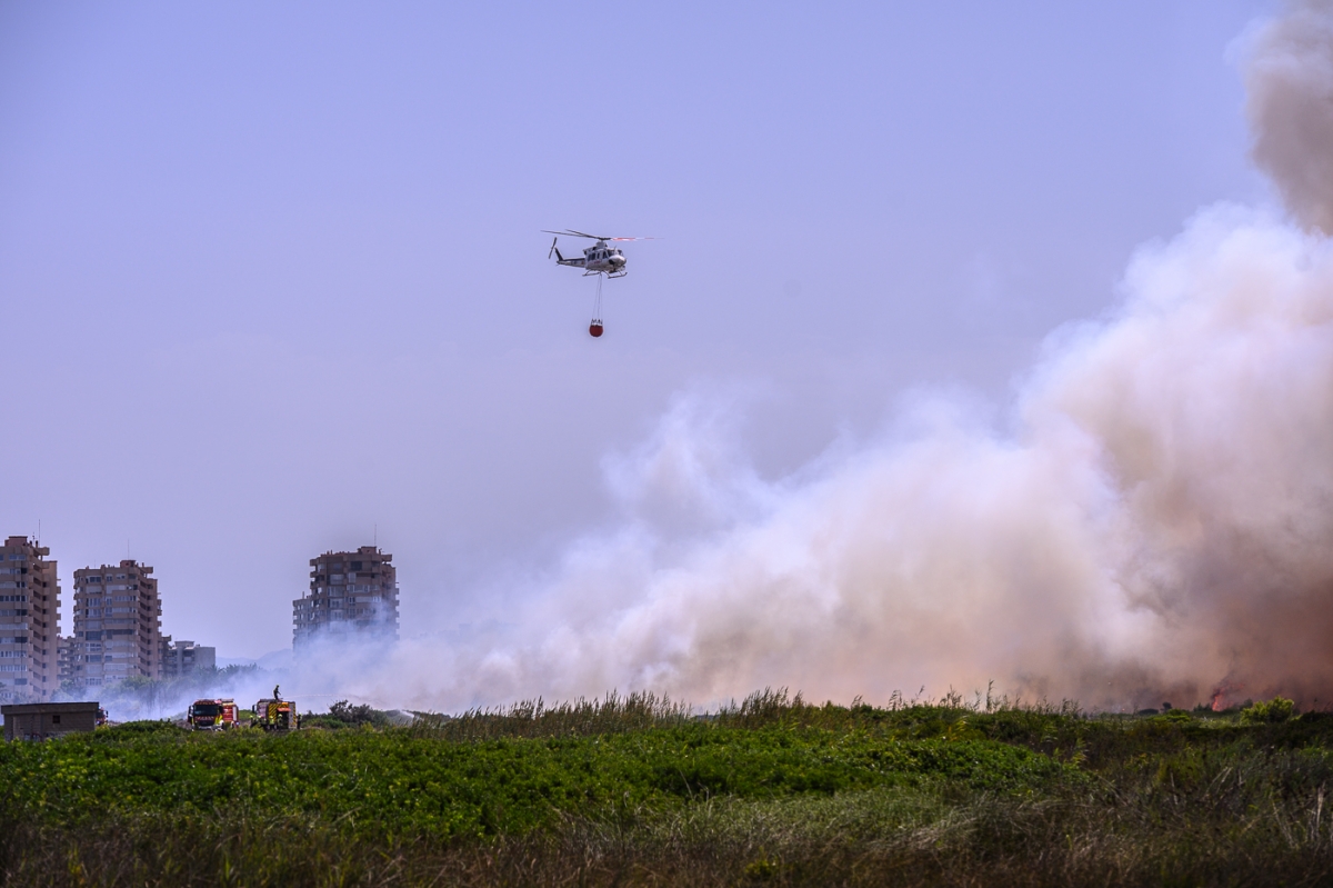 Incendio de El Saler: la investigación apunta a un origen intencionado