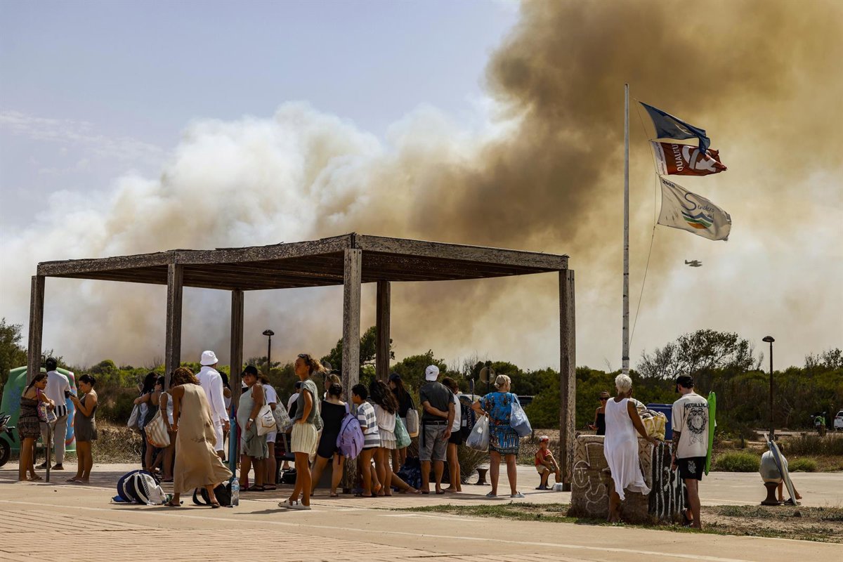Evacuan El Saler y los campings por un incendio forestal