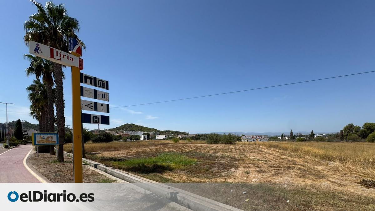 Llíria sanciona 422 parcelas sin limpiar: qué implica