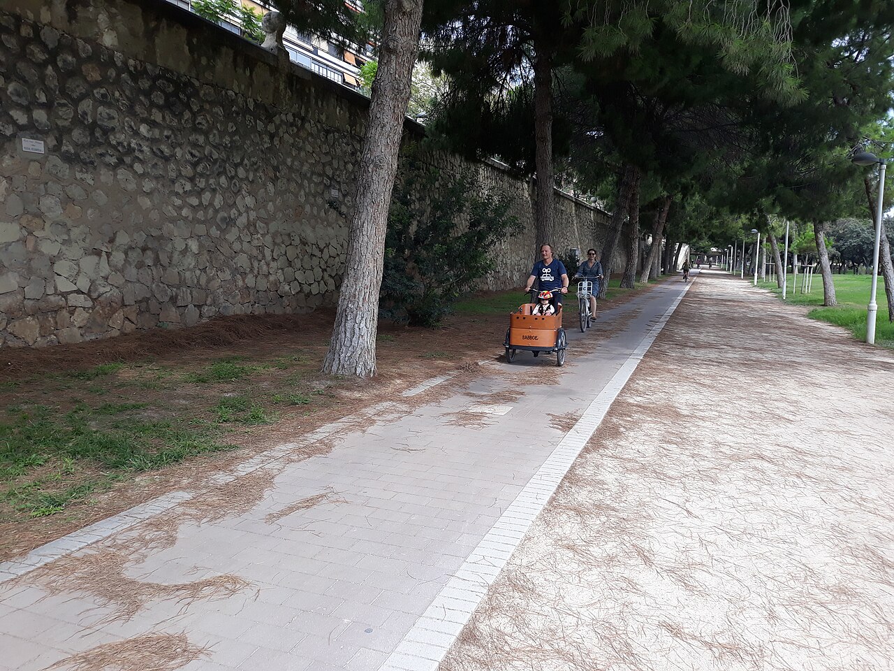 Rutas en bici por Valencia: del Turia al mar y la Albufera