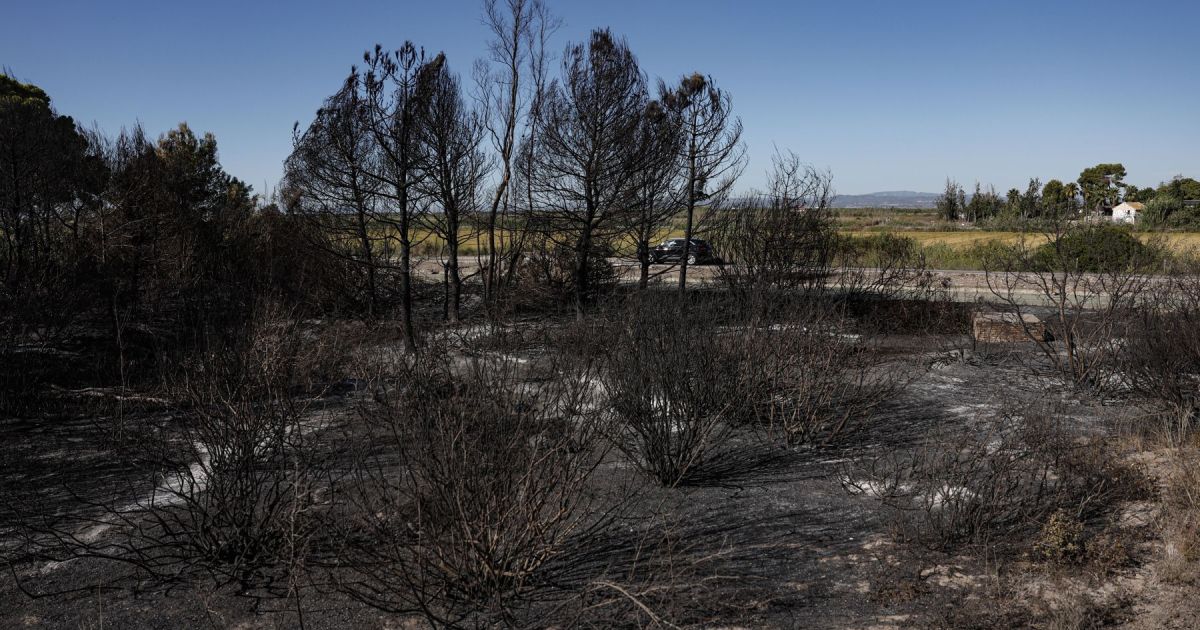 Valencia llevará a los culpables del incendio de El Saler a los tribunales