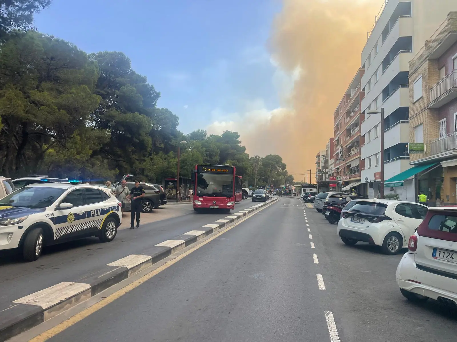 El Saler pasa a situación 2 del PEIF: movilidad restaurada domingo