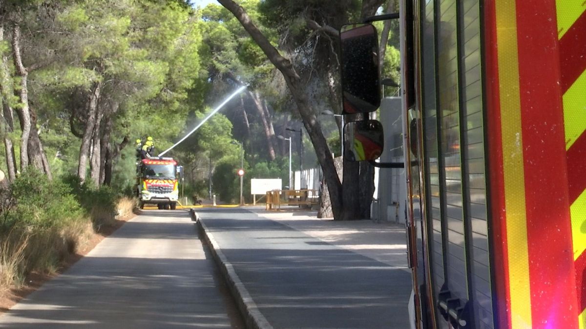 Incendio en la Devesa del Saler: 37 ha quemadas y evacuación en curso