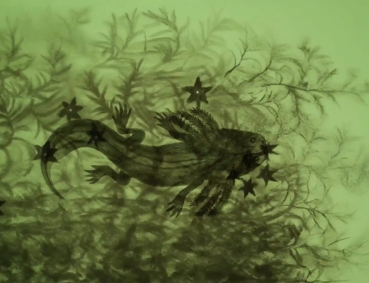 Melanie Smith expone en el IVAM: animales en peligro y reflexión ecológica